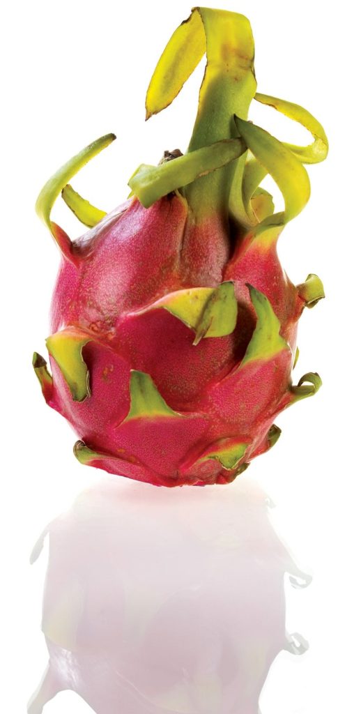 Whole Dragonfruit on White Background Food Picture