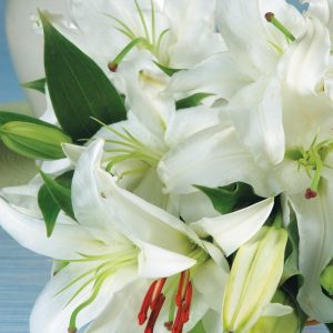 Easter Lilies on Blue Wooden Surface Food Picture
