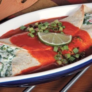 Spinach Enchilada with Garnish in White and Blue Dish Food Picture