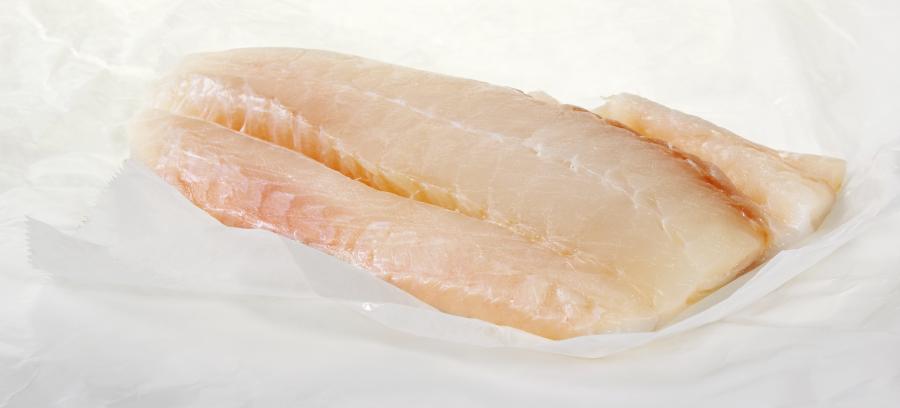 Fresh Raw Flounder Fillet Food Picture