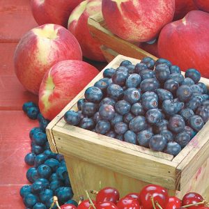 Assorted Fruit in Baskets on Red Wooden Surface Food Picture