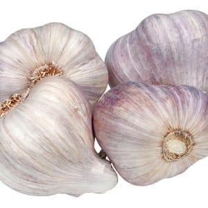 Purple Garlic Isolated Food Picture