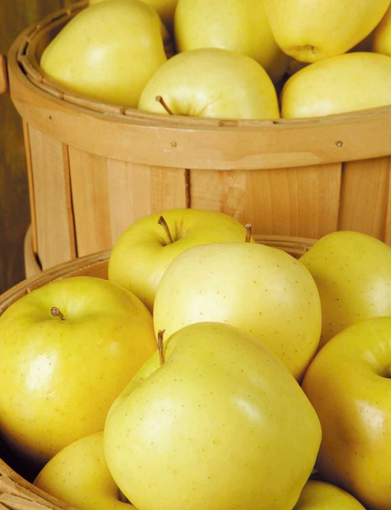 Delicious Golden Apples in Baskets Food Picture
