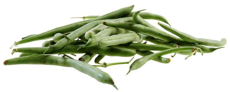 Fresh Picked Green Beans Food Picture