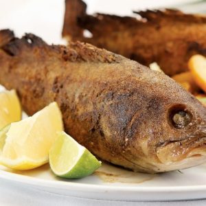 Whole Grouper with Lemons and Limes on White Plate Food Picture