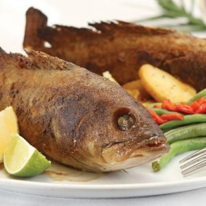 Whole Grouper on White Plate Food Picture
