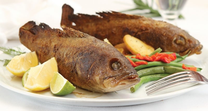 Whole Grouper on White Plate Food Picture