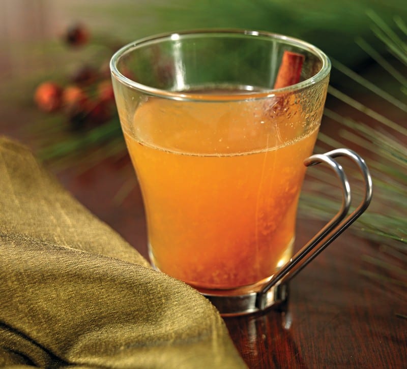 A Glass of Hot Mulled Cider Food Picture