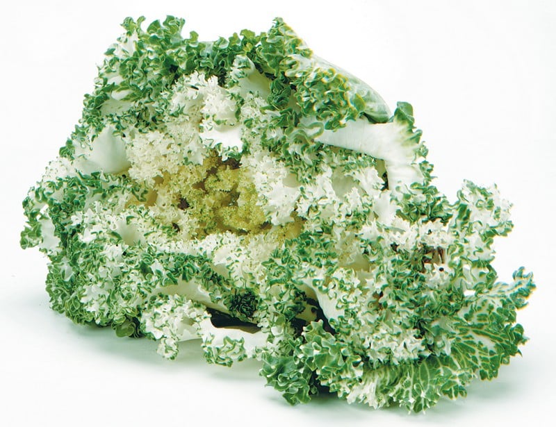 White and Green Kale Isolated Food Picture