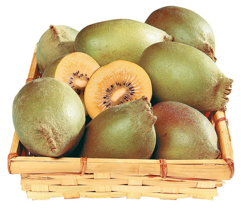 Basket of Golden Kiwis Isolated Food Picture