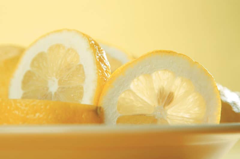 Freshly Sliced Lemons on Plate Food Picture