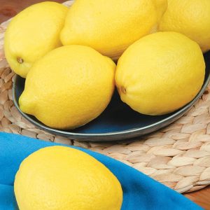 Whole Lemons on a Plate Food Picture