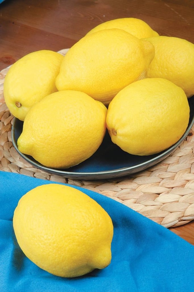 Whole Lemons on a Plate Food Picture