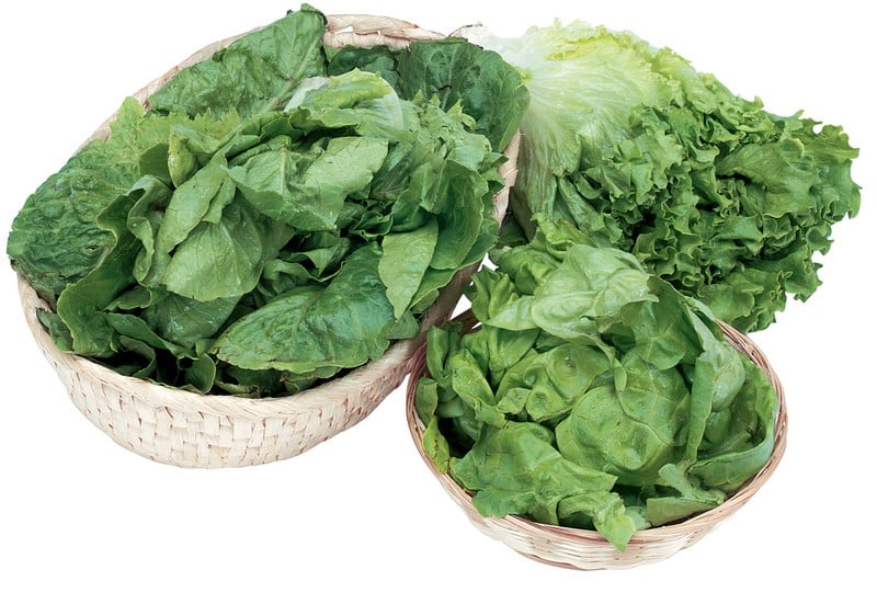 Assorted Lettuce in Baskets Isolated Food Picture