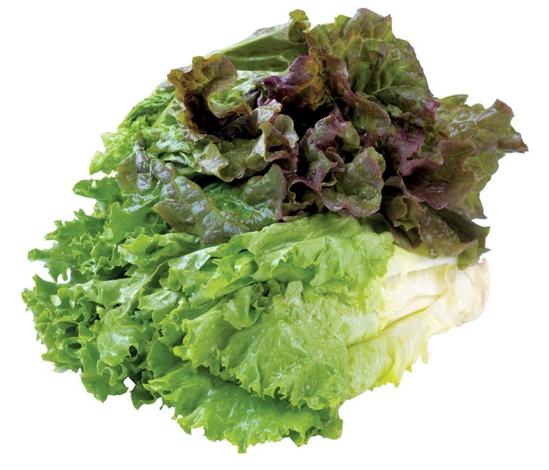 Assorted Lettuce Isolated Food Picture