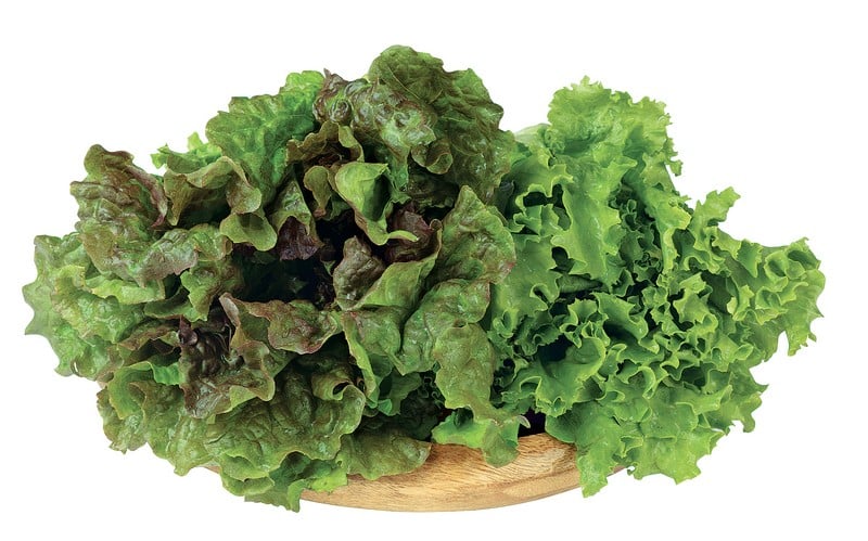 Assorted Lettuce on Board Isolated Food Picture