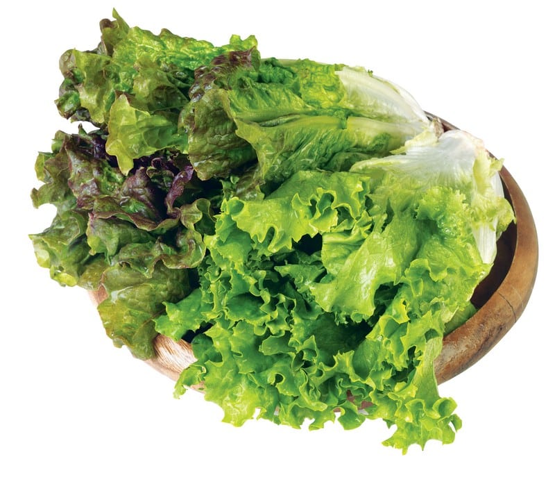 Assorted Lettuce in Bowl Isolated Food Picture