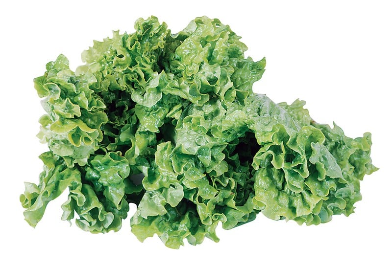 Green Leaf Lettuce Isolated Food Picture