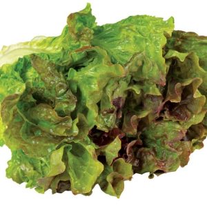 Red Leaf Lettuce Isolated Food Picture