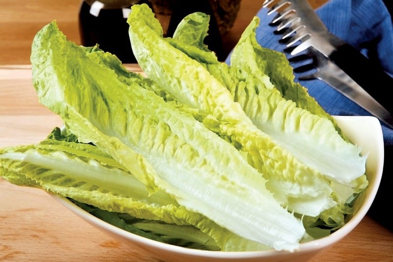 Romaine Lettuce in Bowl on Wooden Surface Food Picture