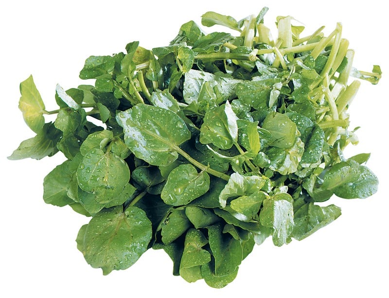 Watercress Lettuce Isolated Food Picture
