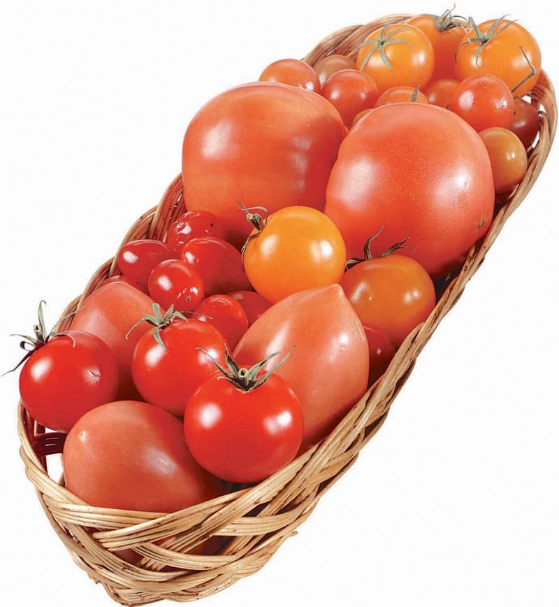 Mexican Tomatoes in a Basket Food Picture
