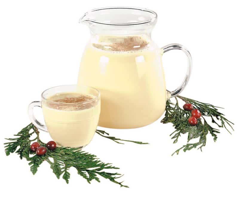 Milk Egg Nog Pitcher and Glass with Garnish Food Picture