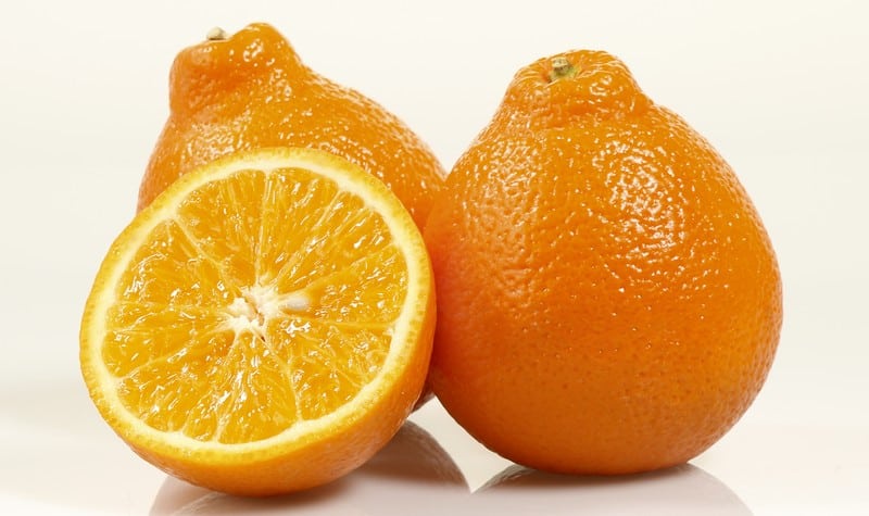 Juicy Minneolas Oranges Food Picture