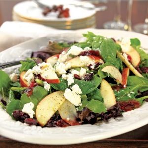 Mixed Greens on a Plate Cranberries and Blue Cheese Food Picture