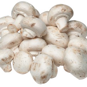 White mushrooms whole on white background Food Picture
