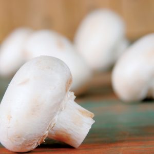 White mushroom up close with faded mushrooms in background Food Picture