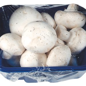White mushrooms in blue package Food Picture