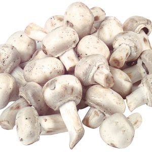 White mushrooms with stems on white background Food Picture