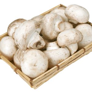 White Mushrooms in small basket on white background Food Picture
