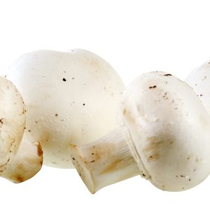 Fresh White Button Mushrooms Food Picture