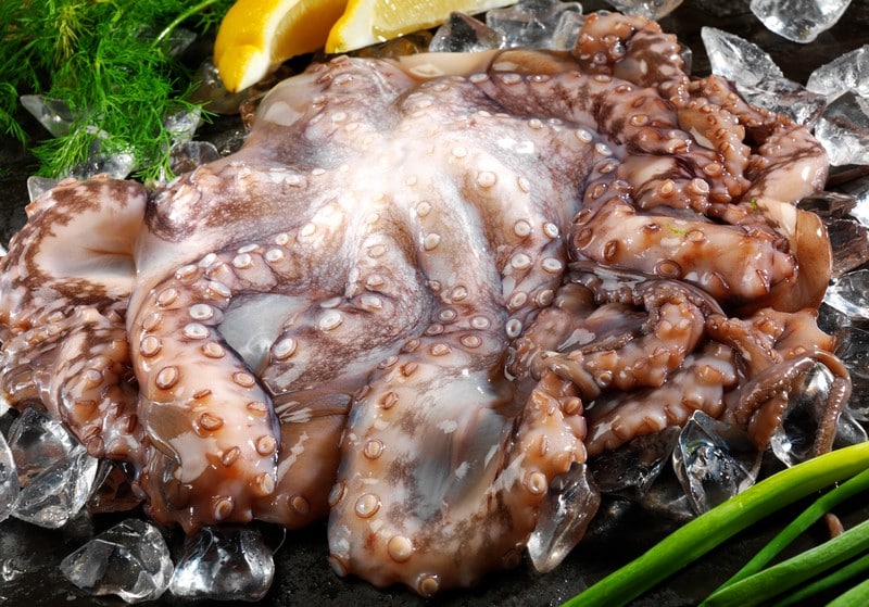 Octopus Raw Food Picture