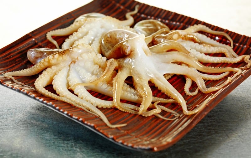 Fresh Caught Raw Octopus Food Picture