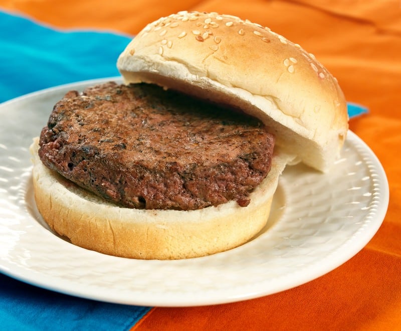 Fresh Broiled Hamburger on Hearty White Sesame Seed Bun on White Porcelain Plate Food Picture