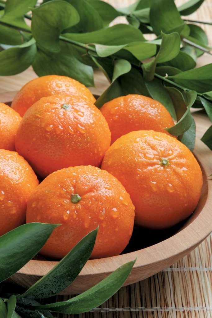 Bowl of Freshly Washed Mandarin Oranges Food Picture