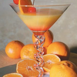 Orange Martini with Oranges Food Picture