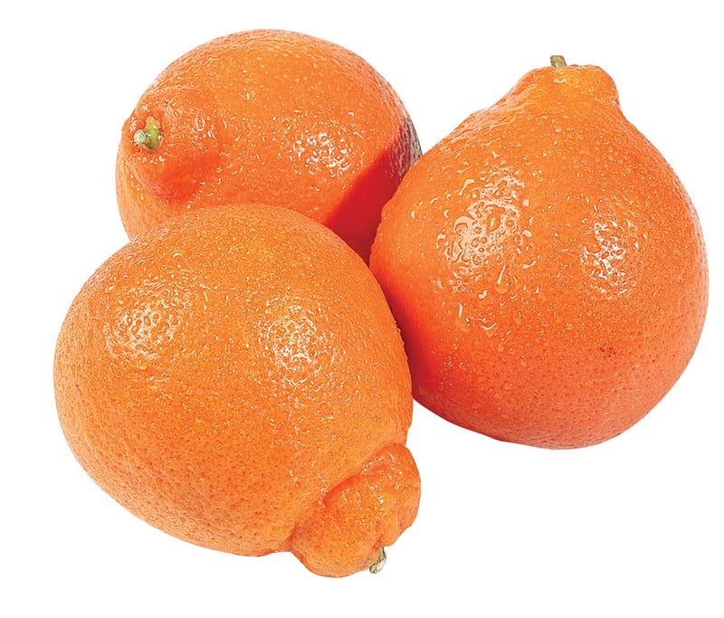Fresh Whole Minneola Oranges Food Picture