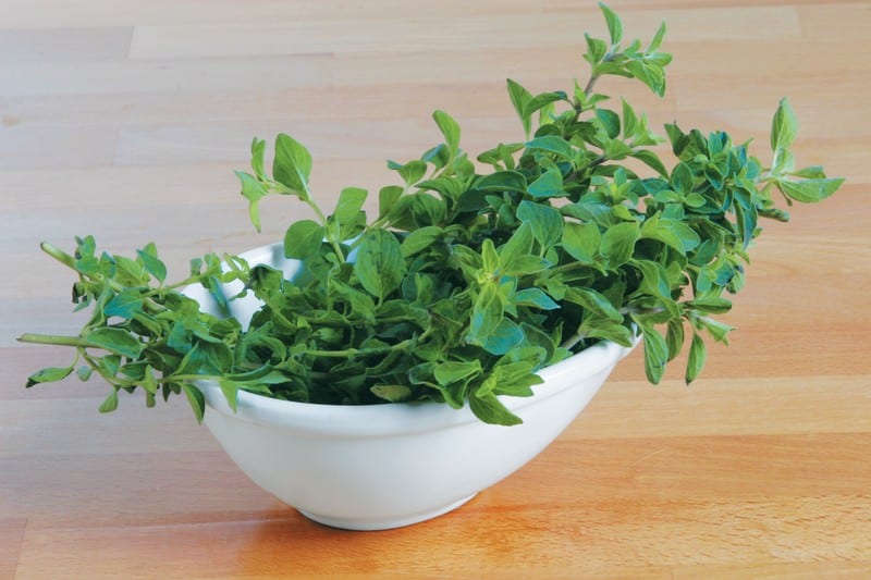 Oregano in Dish on Wooden Surface Food Picture