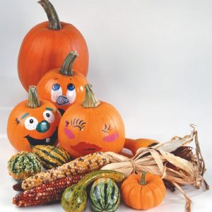 Painted Pumpkins with Squash and Corn Food Picture