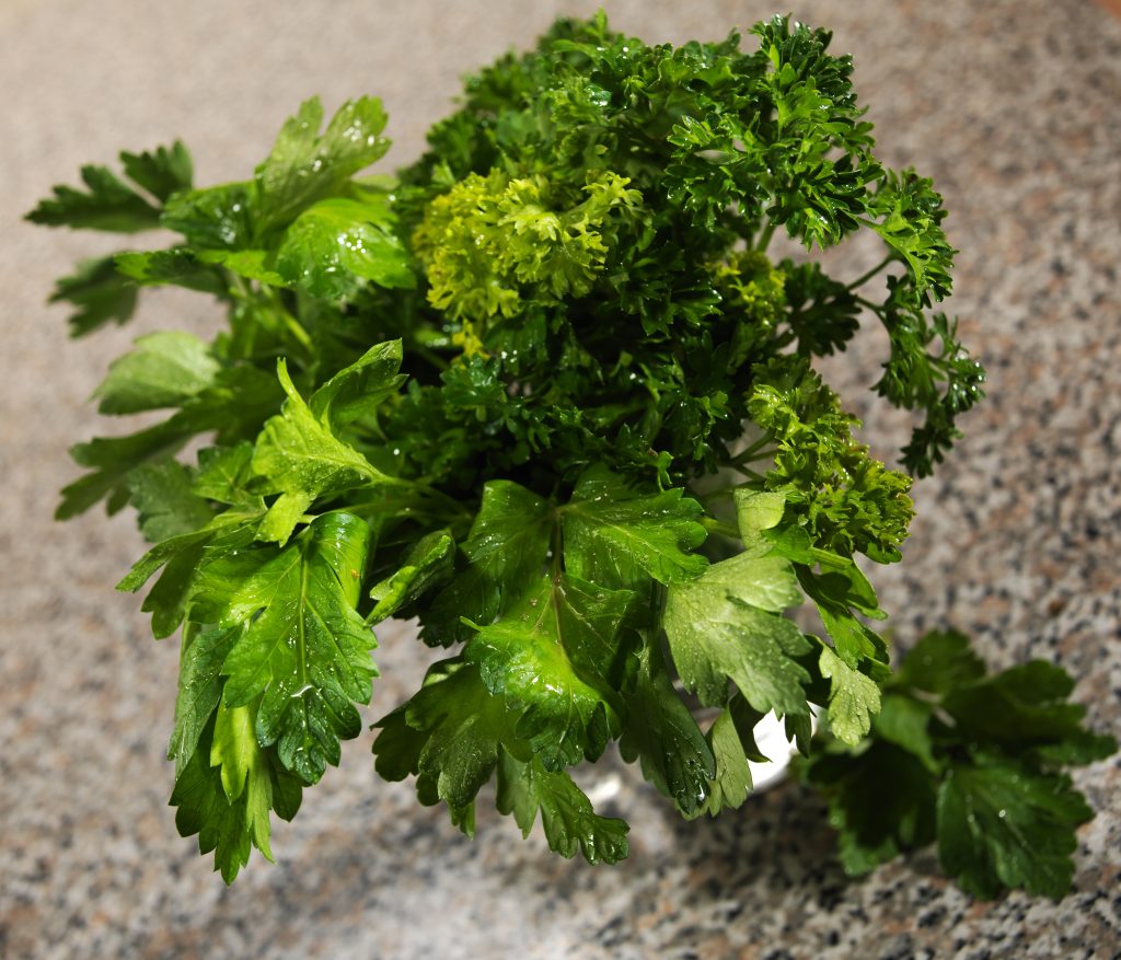 Parsley Food Picture