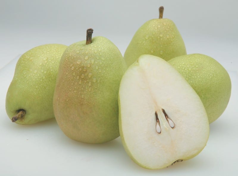 Pears Food Picture