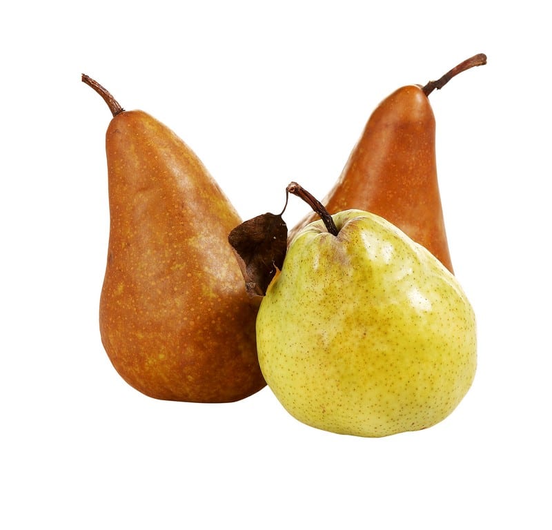 Fresh Ripe Brown & Green Pears Food Picture