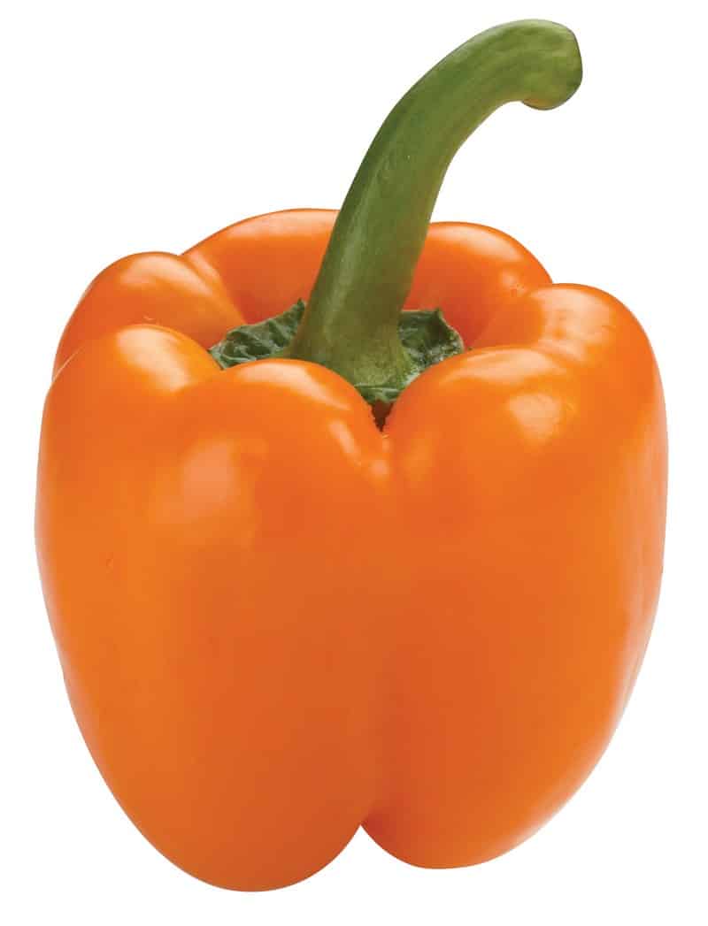 Orange Pepper Isolated Food Picture