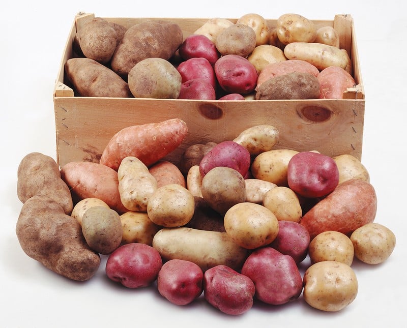 Assorted Potatoes in Box on White Background Food Picture