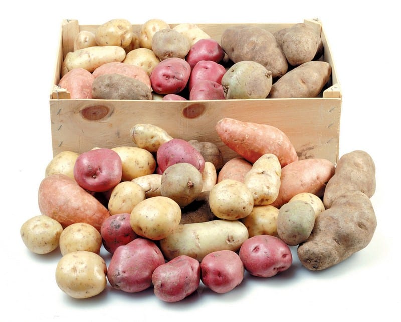Assorted Potatoes in Box on White Background Food Picture