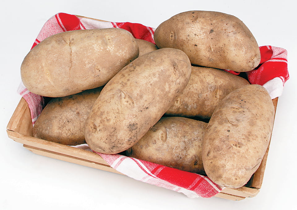 Idaho Potatoes in Basket on White Background Food Picture